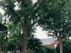 -大雁塔北广场音乐喷泉
