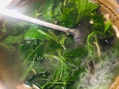 基诺炒时令野菜-基诺山寨.版纳民族特色菜