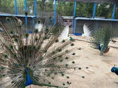 -森林公园(尖草坪区)