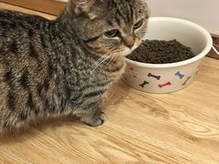-Pets First伊珊娜洗护·精致美容·家庭式寄养(新会路店)