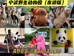 -宁波野生动物园