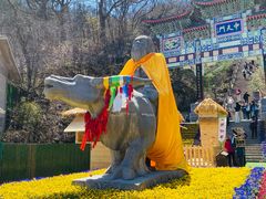 -老君山风景名胜区
