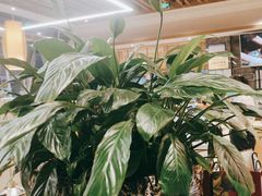 -老砂锅(城北店)