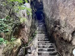 -鲁山国家森林公园