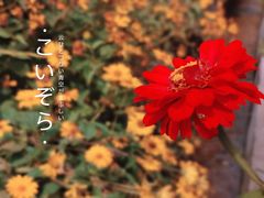 -百里山水画廊