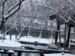 -三里河公园