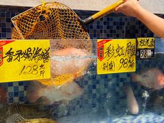 -丰尔粥食·顺德鱼生·干蒸排骨顺德菜(大良分店)