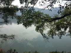 -江西阳明山国家森林公园