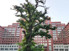 -中国人民大学-博物馆
