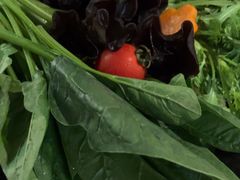 -湊湊火锅·茶憩(皇姑万象汇店)