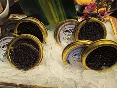 -Mr.Fish鱼鲜生海鲜放题(高德置地冬广场店)