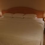 -南京维景国际大酒店(南京博物院店)