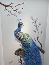 -德绣·机器野生眉发际线·美瞳线半永久