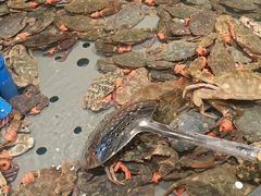 -一方渔歌蒸汽海鲜自助(文化路万达广场店)