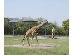 -宁波野生动物园