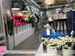 -宜家家居(哈尔滨商场店)