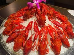 -京悦南门涮羊肉·羊蝎子火锅(田林路店)