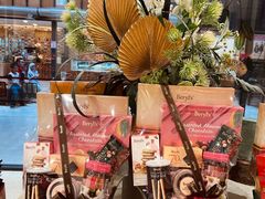 -Belice Chocolate Kingdom