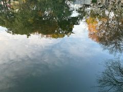 -八一公园