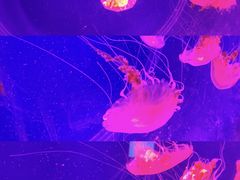 -沈阳海洋探索中心