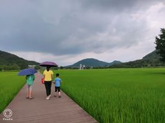 -艾米稻香小镇