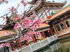 -宝墨园景区