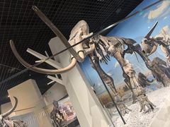 -国家自然博物馆