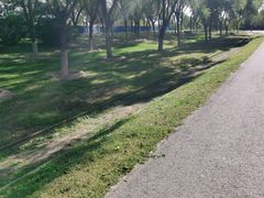 -永定河休闲森林公园