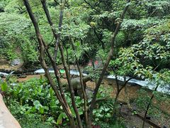 -古龙峡漂流