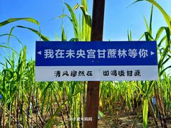 -汉长安城未央宫国家考古遗址公园