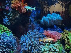 -中国湿地博物馆