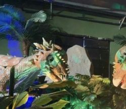 -恐龙探索乐园(磁器口店)