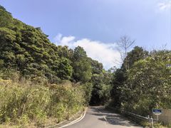 -海南热带雨林国家公园吊罗山景区