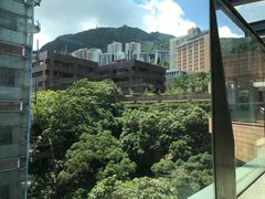 -香港大学