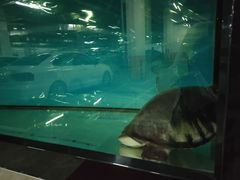 -弘安丽水温泉酒店
