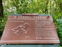 -九曜山