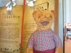 -济州岛泰迪熊博物馆