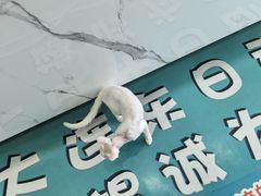 -东日国际动物医院·CT·心脏专科(桃源分院)