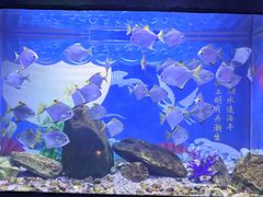 -烟台海昌鲸鲨海洋公园