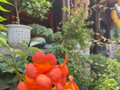 -芦茨金富饭庄·25年老字号·专做稻草鸡