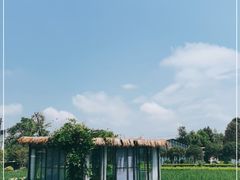 -洪湖家庭农场·团建·露营·会议