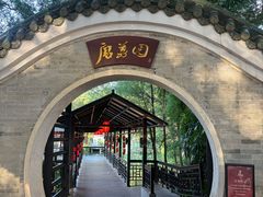 -侨美·唐荔园·40年地道粤菜