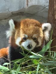 -Zoolung Zoolung动物主题公园(海信广场店)