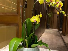-南堂馆·新川菜(天府三街店)