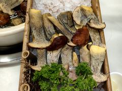 野生见手青-土连锅·现熬养生汤锅(梁家巷店)