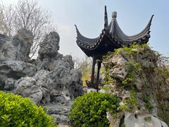 -桃花堤公园