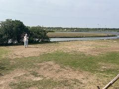 -春花秋色城市公园