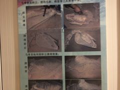 -洛阳周王城天子驾六博物馆