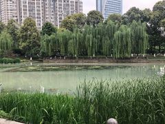 -温江公园