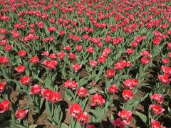 -长春公园(普阳街道)